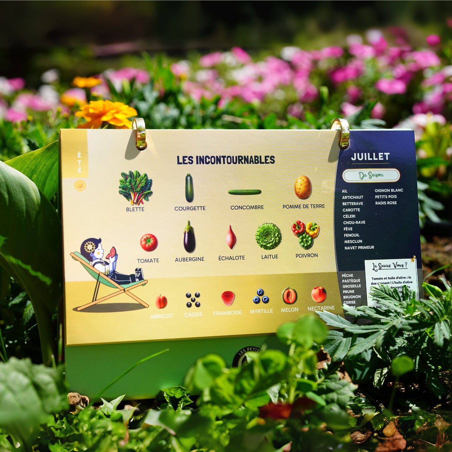 Coffret Archi Autonomie & Santé